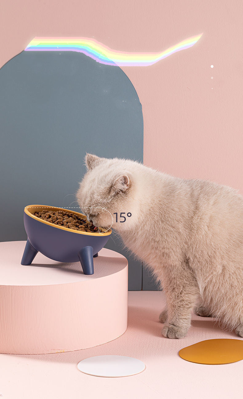 Elevated Pet Feeder