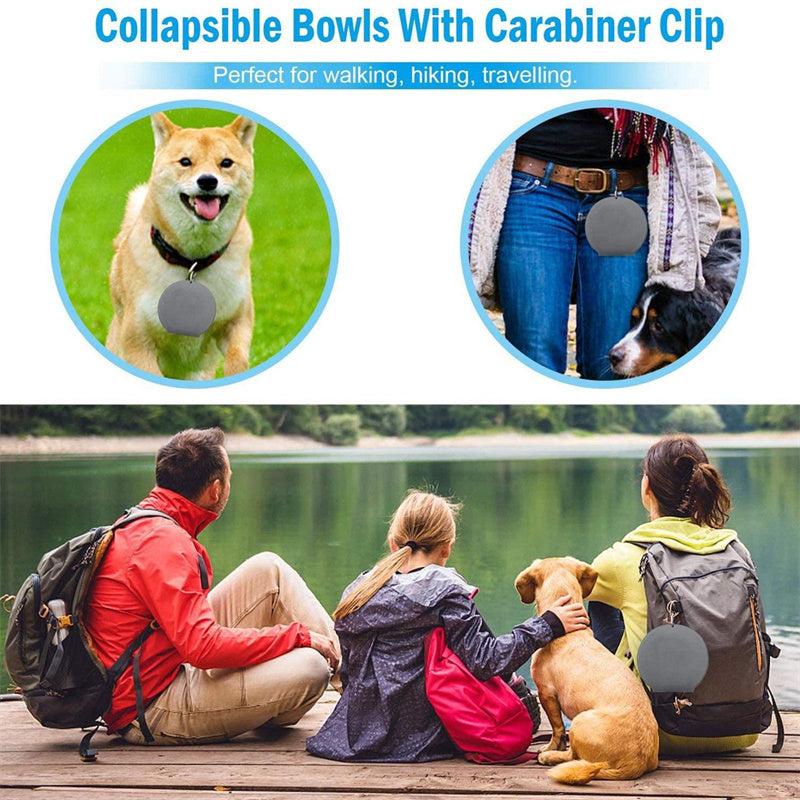 Collapsible Double Silicone Food and Water Bowl with Spill-Proof Base