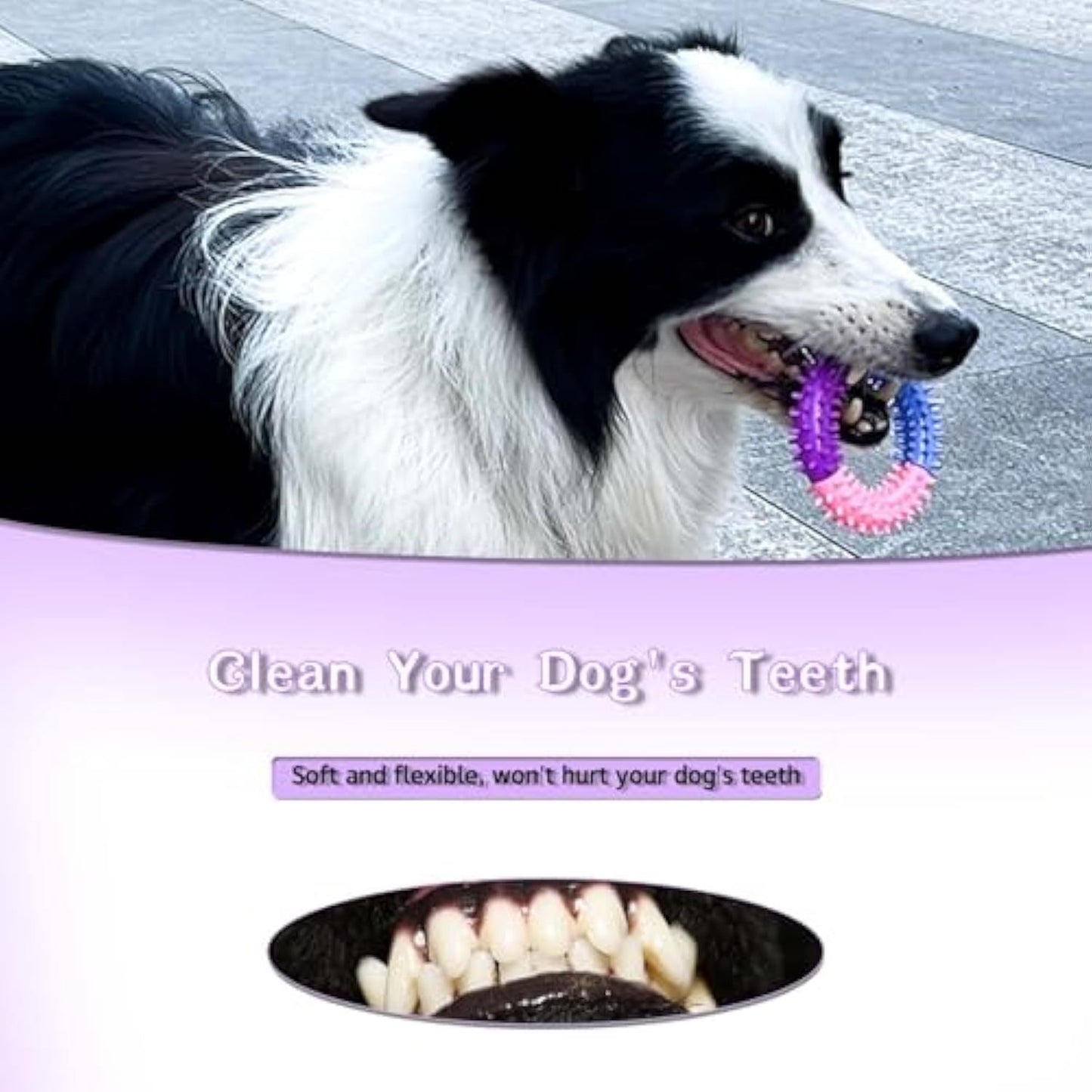 Rubber Teething Ring for Puppies and Dogs