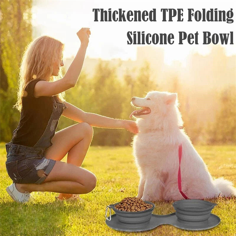 Collapsible Double Silicone Food and Water Bowl with Spill-Proof Base