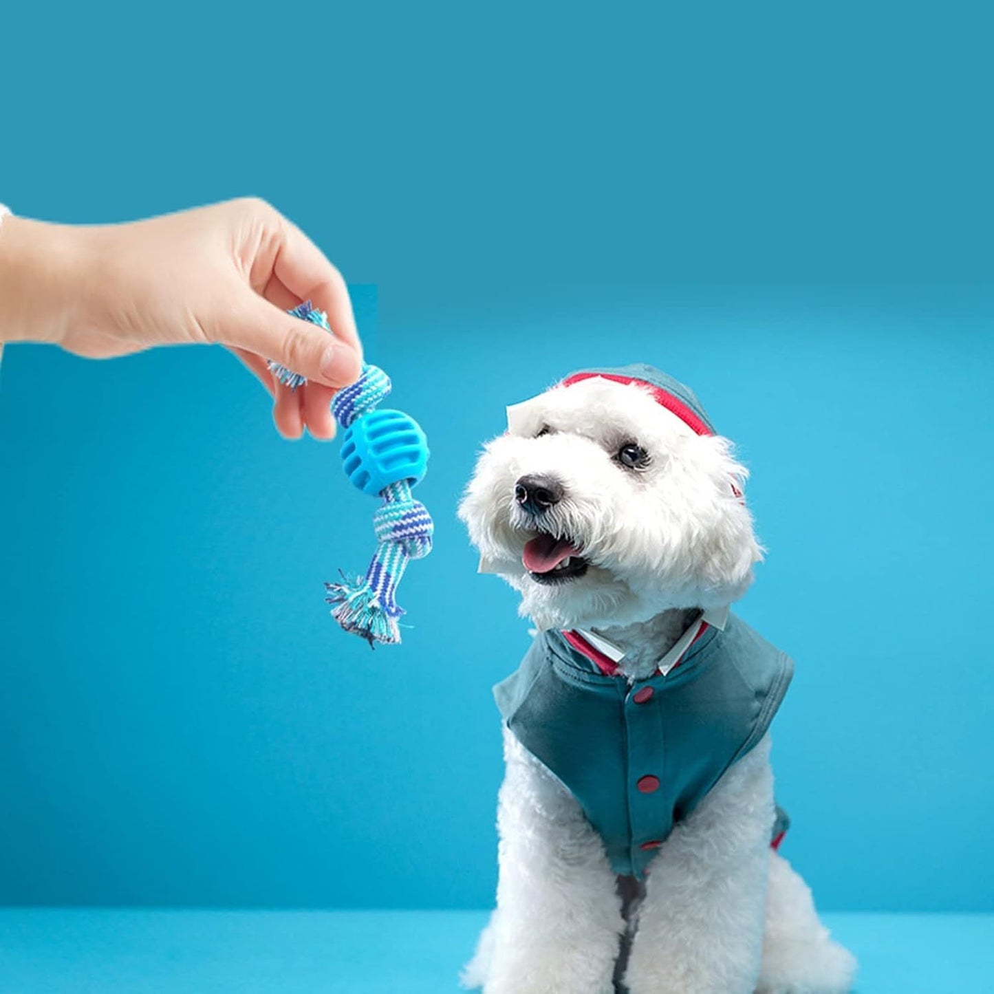 Juguete Masticable con Cuerda para Limpieza Dental de Perros