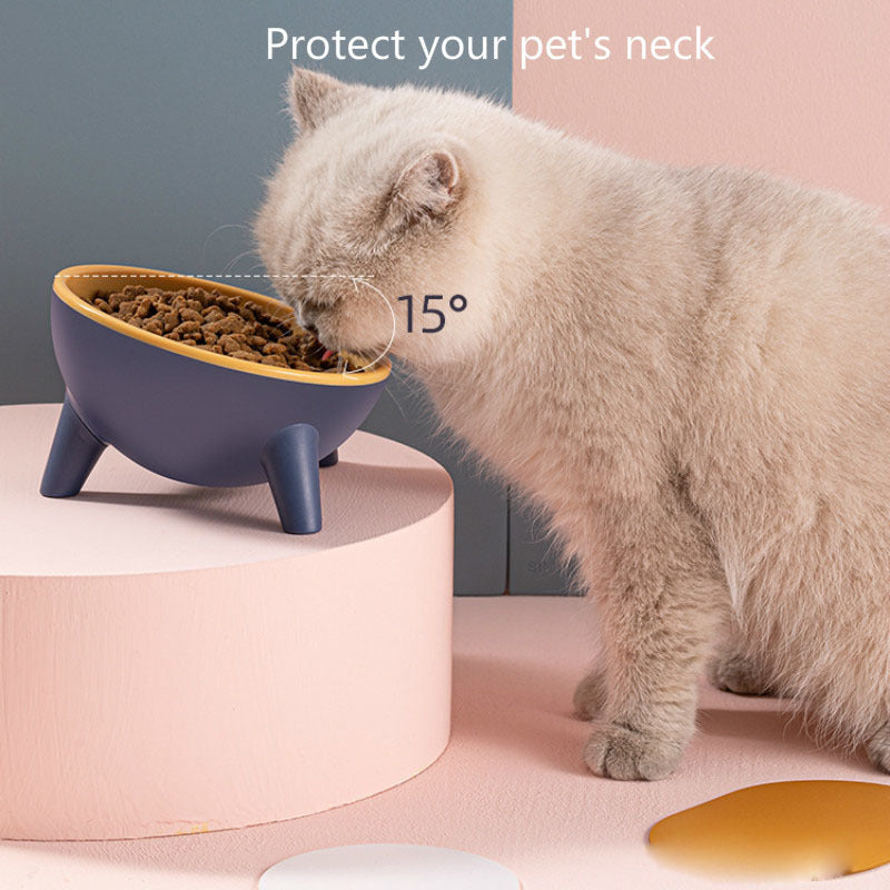 Elevated Pet Feeder