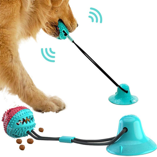 Juguete Interactivo con Ventosa y Cuerda para Masticar